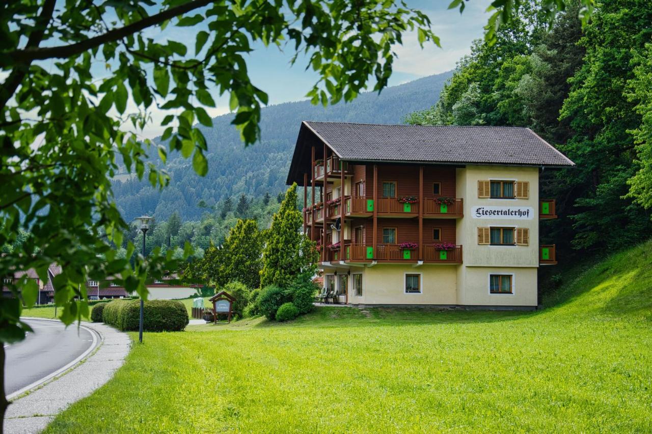 Pension Liesertalerhof Trebesing Luaran gambar